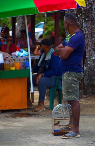 IMG_8104