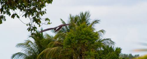 IMG_8155
