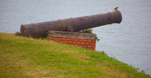 IMG_8218
