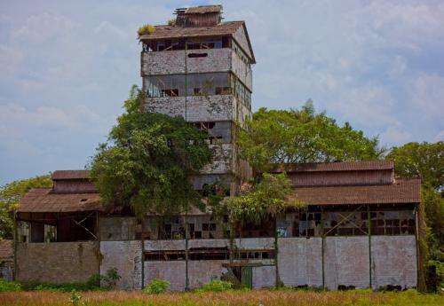 IMG_8330