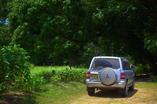 IMG_8344