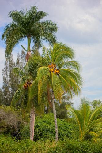 IMG_9114